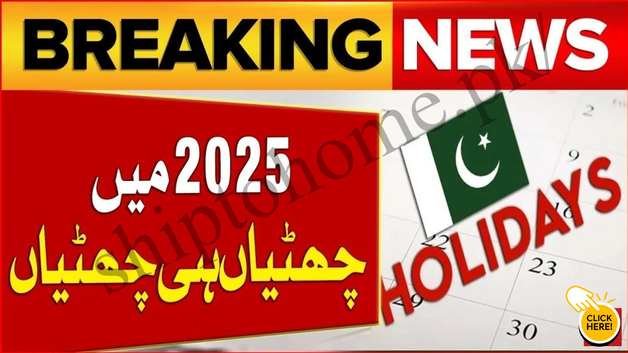 November Public Holiday