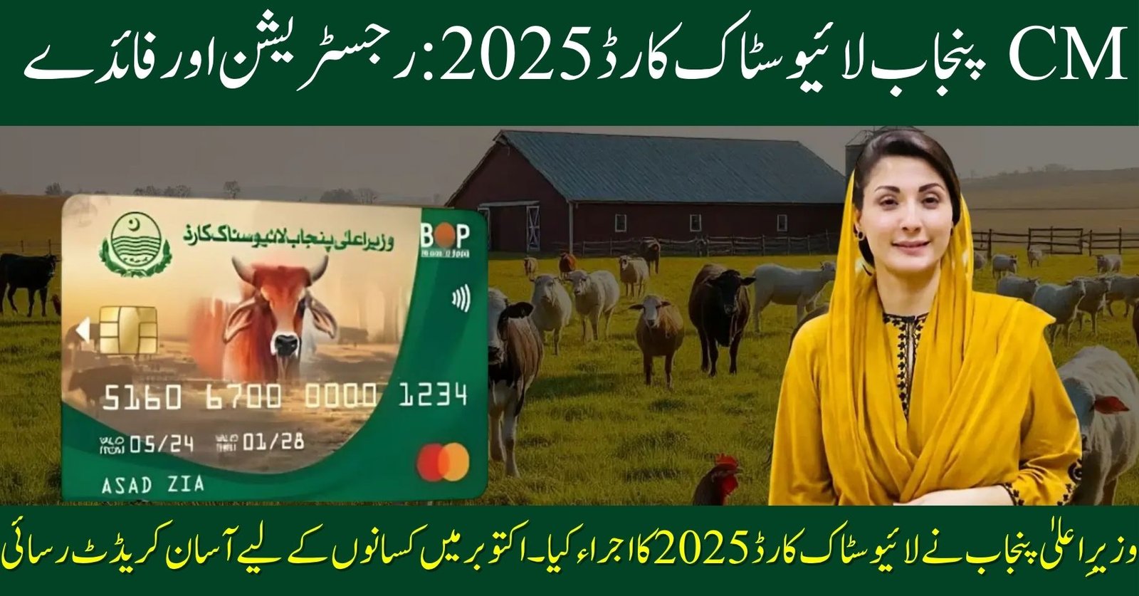 CM Punjab Launches Livestock Card