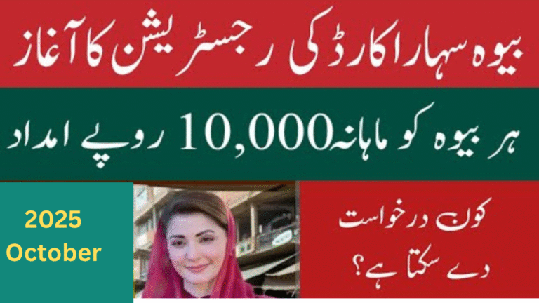 CM Punjab Bewa Sahara Card Registration