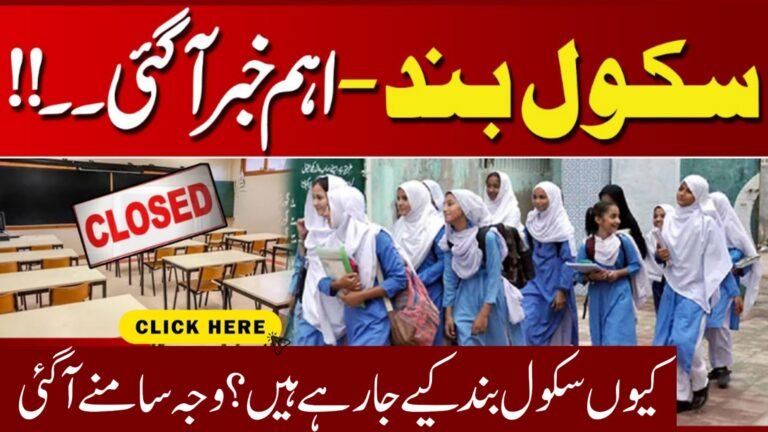 Punjab Schools Closure 2025: New Rules and Deadlines for Small Schools