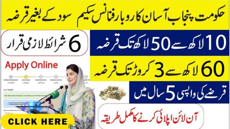 How To Apply For CM Punjab Loan Scheme Online