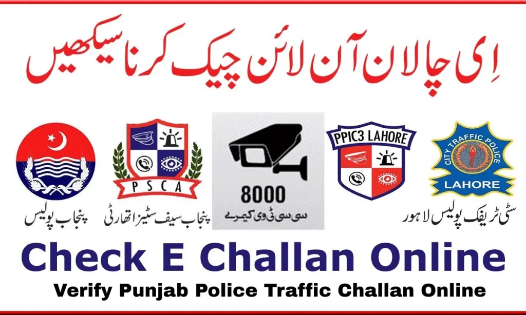 How to Check Traffic Fines Online Easily
