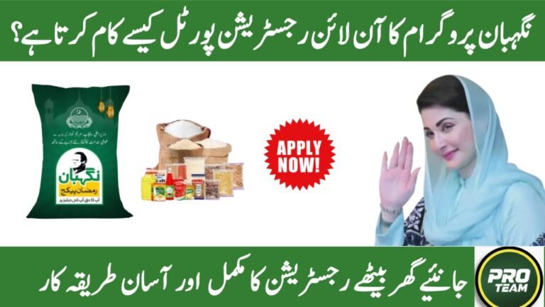 Nigehban Program Online Registration Portal Explained – Complete & Updated Guide